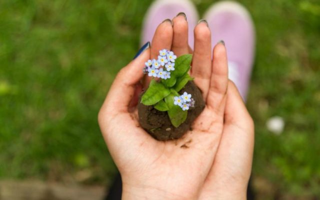 wat is haptotherapie